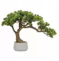 Dirbtinis bonsai medelis „Atmosphera“, POLIN, aukštis 60 cm
