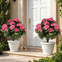 Promotions Dirbtinių pelargonijų rinkinys 57x33 cm rožinės spalvos šilko audinys