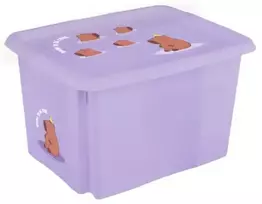 Keeeper Kaste ar vaku 45L Karolina "Capybara" 55 5x40x30cm maigi violeta ()