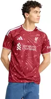Vyriški marškinėliai adidas Liverpool FC 26/27 raudona KA6852 (M)