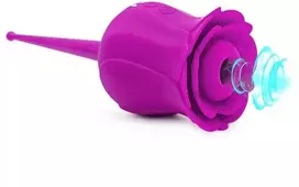 Klitoriaus stimuliatorius Rose Series