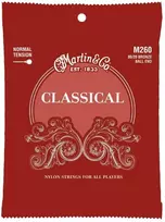 Stygos klasikinei gitarai Martin M260
