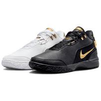 Nike Zoom LeBron NXXT Gen AMPD EP 'Equity' Men's FJ1567-103 EU 40.5