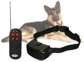 Prekė su pažeista pakuote. Šuns dresavimo antkaklis Dog Training AG26
