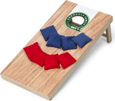 BEX - Cornhole Family (519-100)