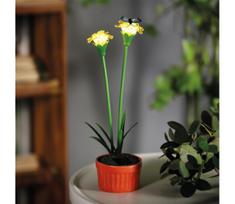LED saulės šviestuvas LED/1,2V 200 mAh IP44 gėlė