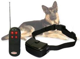 Prekė su pažeista pakuote. Šuns dresavimo antkaklis Dog Training AG26