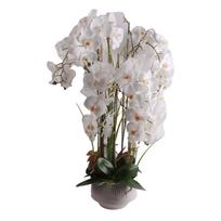 Dirbtinė gėlė vazone, orchidėja Home4you Garden Queen, balta sp., 102 cm