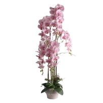 Dirbtinė gėlė vazone, orchidėja Home4you Garden Queen, šviesiai rožinė sp., 124 cm
