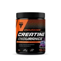 TREC CREATINE ENDURANCE 500 G. - BERRY BOOST
