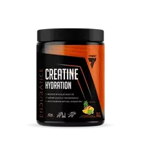 TREC ENDURANCE CREATINE HYDRATION 500 G - TROPICAL FRUITS