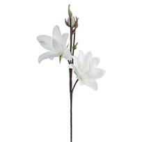 Dirbtinė gėlė Flore 857, balta sp., 77 cm x 20 cm