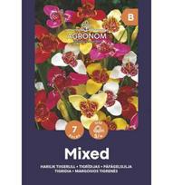Margūjų tigrenių svogūnėliai, lot. PAVONIA MIX, 7 vnt