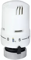 Termostatinė galva 301