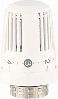 Termostatinė galva 317