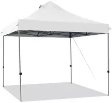Paviljonas 304.8 x 304.8 cm