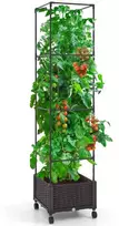Vazonas su treliažu 170.2 cm