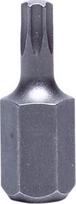 Proline Torx T55 antgalis 3/8" 30mm, 2 vnt.