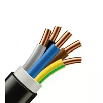 CYKY 5x10 mm2 jėgos kabelis (1 m)