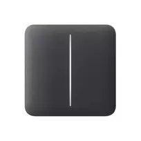 SoloButton (2-gang) Graphite, AJAX