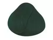 La Riché La Riche Unisex Directions Semi-Permanent Hair Color 88ml Tubs - ALPINE GREEN - One Size