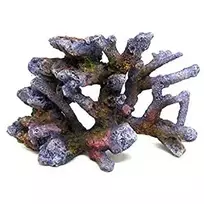 AMTRA REEF ROCK BRANCH rifo akmuo SM2