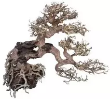 AMTRA dekoracija WOOD ORIENTAL natūralus medis 7 S