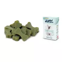 CROCI DENTAL DEFENCE kauliukai su žalia arbata 35g