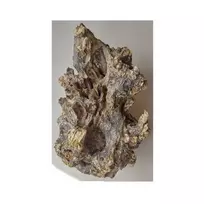 ORBIT Barico-wurzel medžio kamienas XL 40-60cm