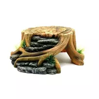 REP NOVA terariumo dekoracija kelmas 23x22x9cm