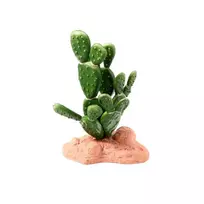 REP NOVA terariumo dekoracija kaktusas 15cm