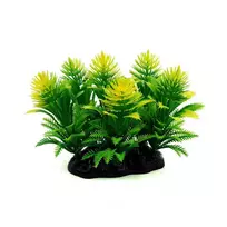 AQUA NOVA plastikinis augalas žalia/gelsva 13cm