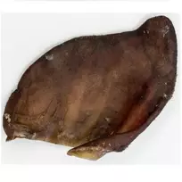 ALPHA SPIRIT PORK EAR XL kiaulės ausis 1vnt