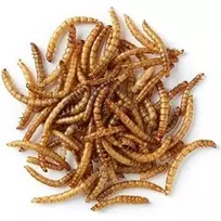 PRODAC Mealworms džiovinti milčiai 250ml