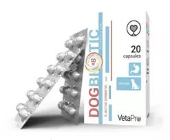 DogBiotic Probiotikai šunims N20