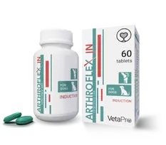 Arthroflex In Maisto papildai šunų sąnariams N60