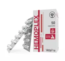 Hemoplex maisto papildai šunims ir katėms esant anemijai N50