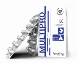 Multipro probiotikai šunims ir katėms N50