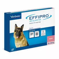 EFFIPRO 268 mg 20-40 kg N4