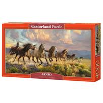 Dėlionė Castorland Art Thunder Prairie 400430, 68 cm x 138 cm, 4000 vnt., įvairių spalvų