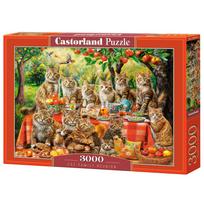 Dėlionė Castorland Cat Family Reunion 300730, 68 cm x 92 cm, 3000 vnt., įvairių spalvų