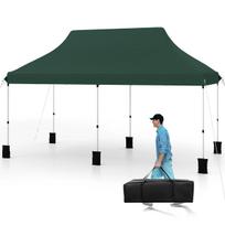Paviljonas 300 x 600 cm