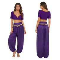 S-XXL Women's Stage Dance Set: V Neck Short Sleeve Gold Trim Top & Sequin Tassel Pants for Belly India Folk Performance S violetinė