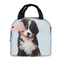 Van Gogh Style Painting Of Bernese Mountain Dog Insulated Lunch Bag for Women Kids Portable Food Boxes Thermal Lunch Box Tote One Size