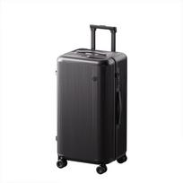 EXPUNK High-End Fine Grain Hardside Luggage