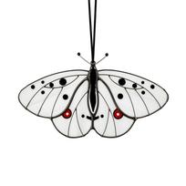 Acrylic Butterfly Window Hanging Ornament Lightweight Decorative Suncatcher for Indoor Outdoor Use Unique Design with Hanging Ribbon one size balta