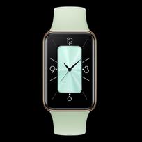 Honor Band 10 Smart Band (CN version)