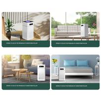 Adjustable Odor Eliminator with Filter Intelligent Indoor Negative Ion Purifier 3 Modes for Dust Smoke Formaldehyde Removal China Mainland