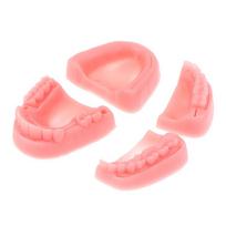 4Pcs Dental Simulation Oral Suture Model Gum Suture Practice Training Equipment for Medical Teaching