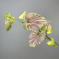 Palm Plant Simulation Taro Leaf Plant 3d Printing Fake Plant  Office Desktop Decoration 75cm